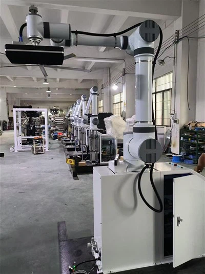 Πάνα Palletizing Cobot For Adult